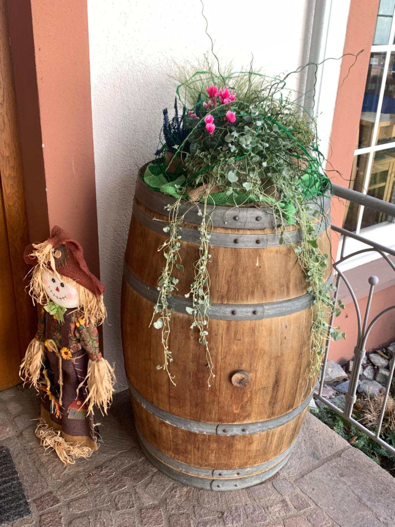 Weinhof Michael Morbach Hotell Zeltingen-Rachtig Exteriör bild
